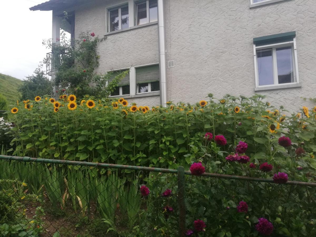 Billenberghof Διαμέρισμα St. Gallen Εξωτερικό φωτογραφία