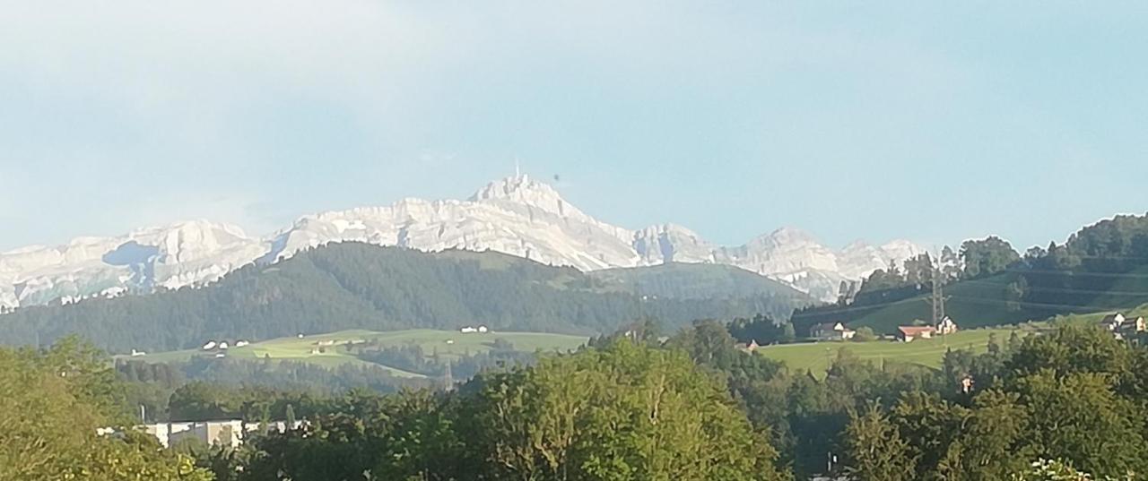 Billenberghof Διαμέρισμα St. Gallen Εξωτερικό φωτογραφία